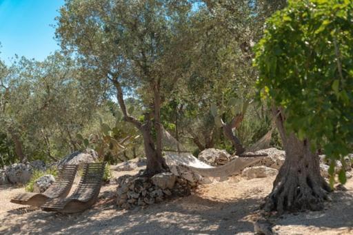 Bed & Breakfast Puntebianche *